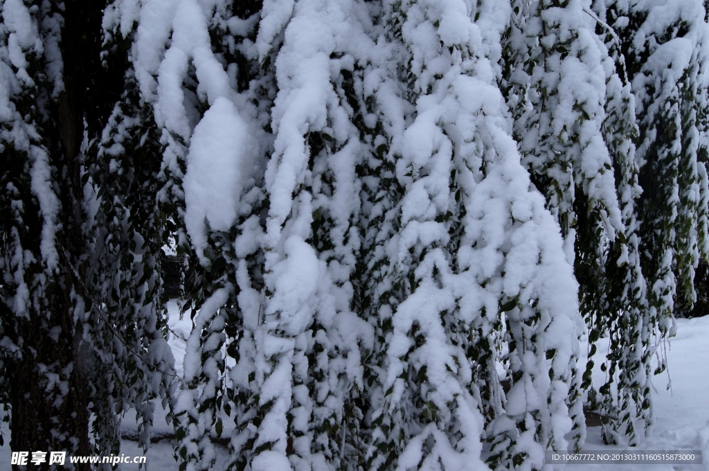 雪后