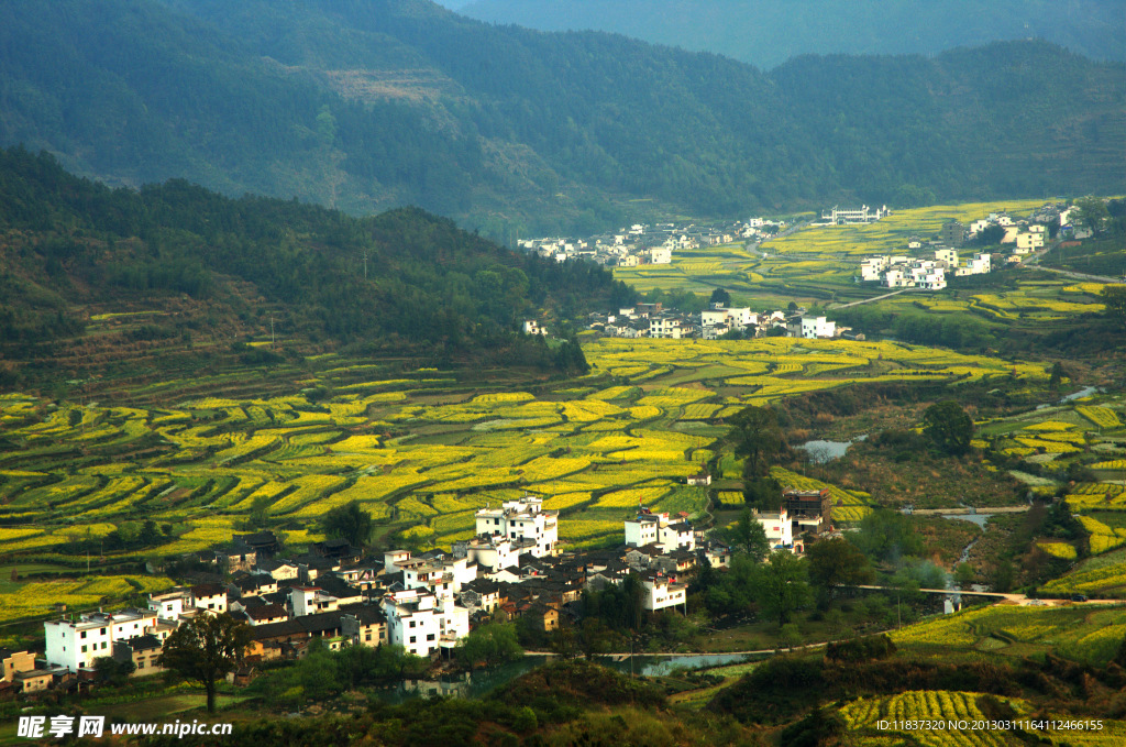 婺源风景