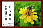 企业展板