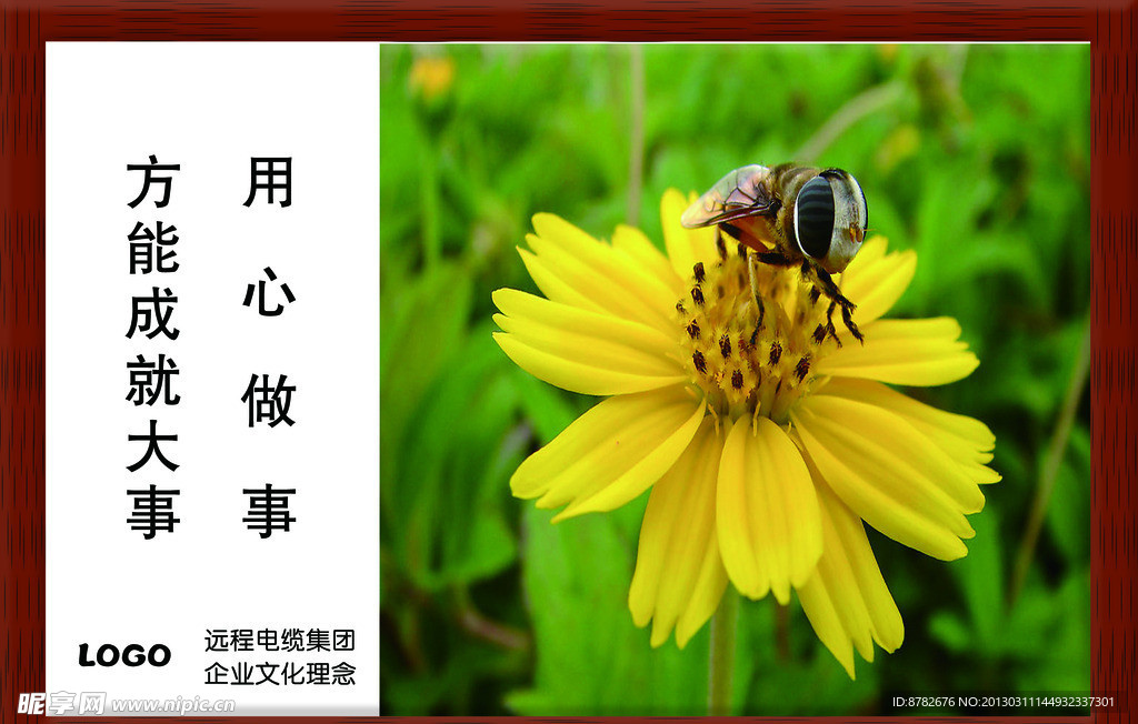 企业展板