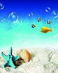 海底世界