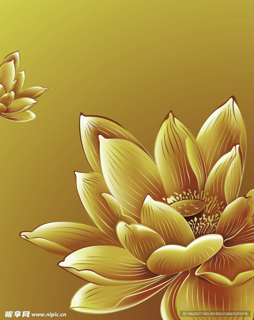 金色荷花