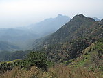 泰山