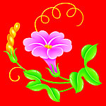 牵牛花 花 桃花