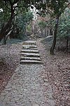 小道