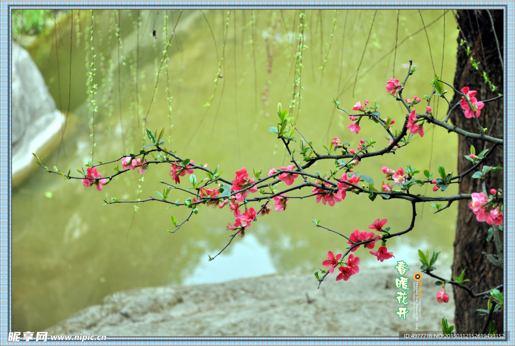 春暖花开