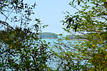 林间小岛