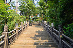 阶梯两旁