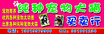 宠物店