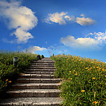 荒野小路