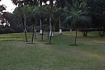 公园草地
