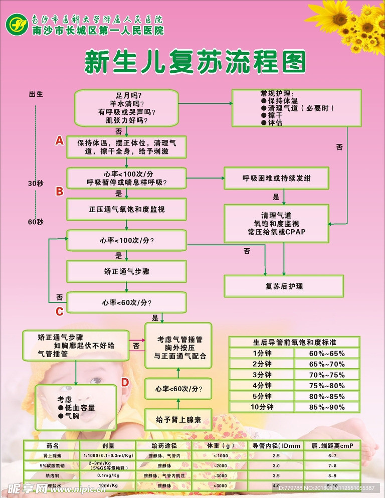 新生儿流程图