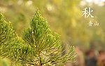 自然风景