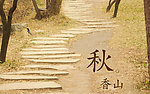 自然风景