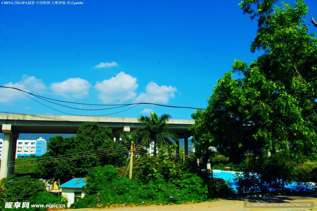 龙岗南澳一路风景 高架桥景观