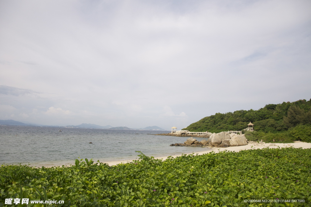 海南蜈支洲岛沙滩植物