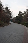 虞山