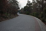 道路