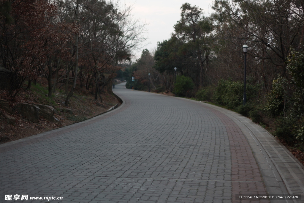 道路