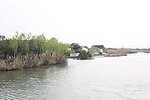 沙家浜