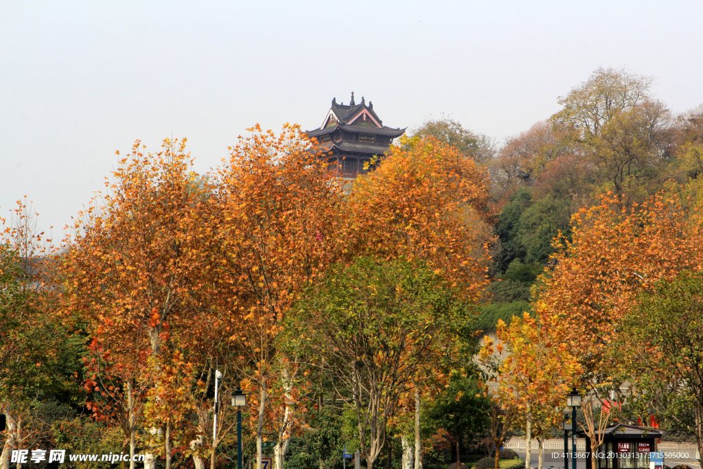 武汉风景