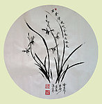 兰花