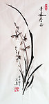 兰花