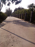 公路马路图片