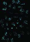 花纹 多种花纹 简单花纹