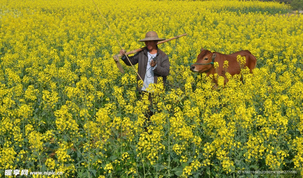 乡村
