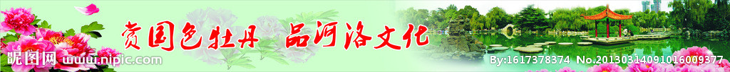 牡丹花都会