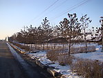 冰雪长春