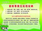 健康教育