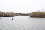 沙家浜