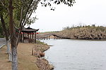 沙家浜