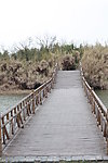 沙家浜