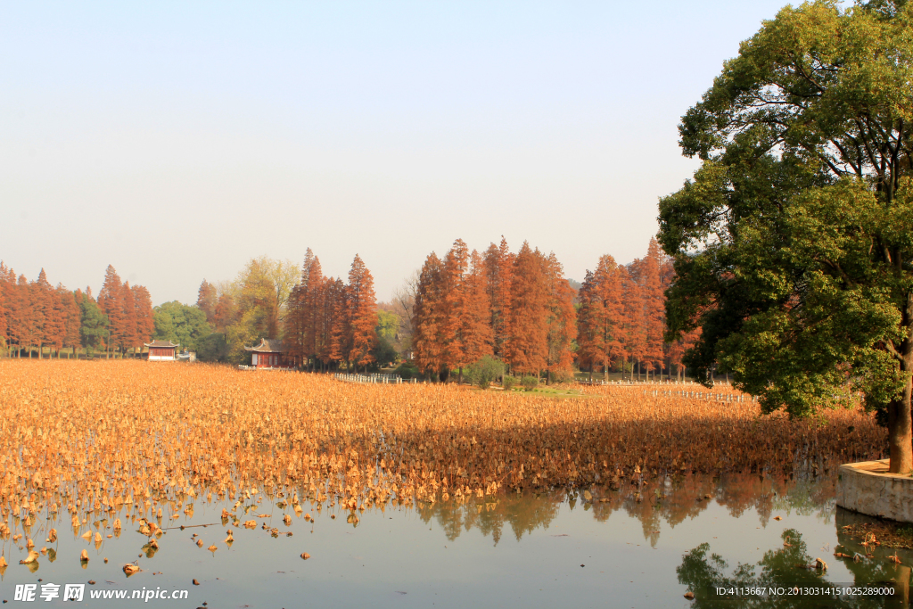 东湖风景