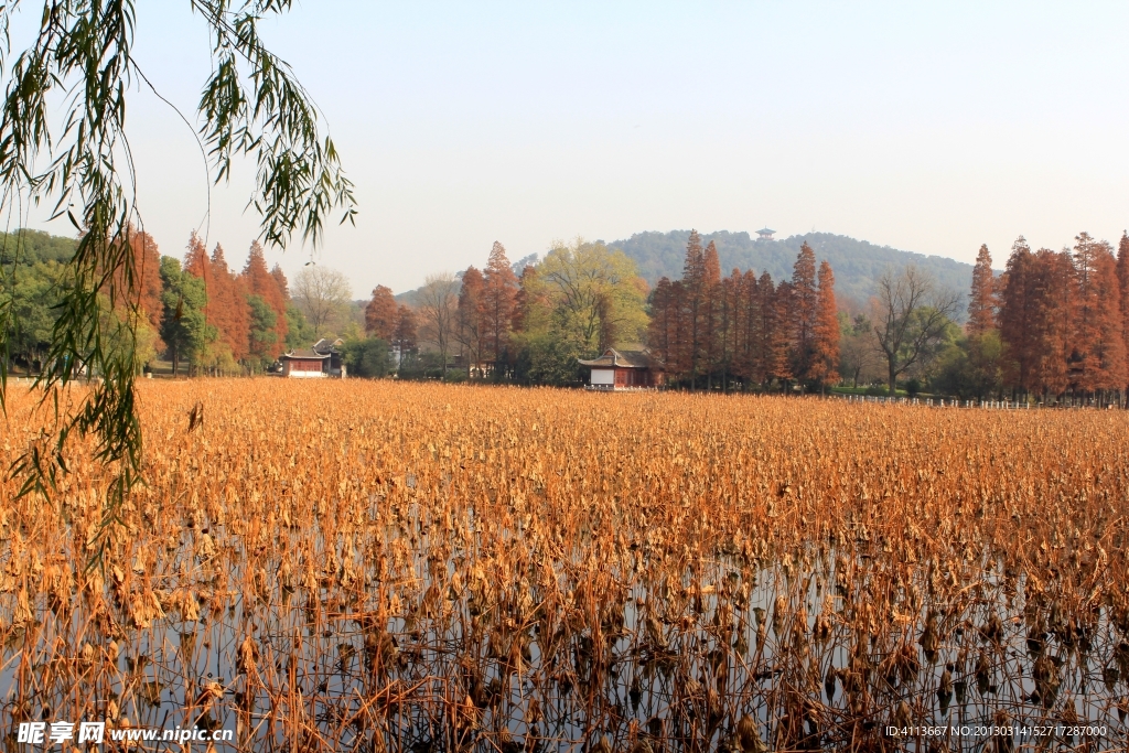 东湖风景