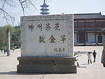 浙江金华茶花园