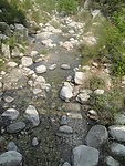 农村河流