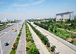 天空下的公路绿树