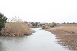 沙家浜