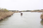 沙家浜