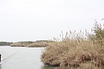 沙家浜