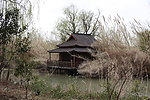 沙家浜