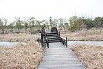 沙家浜