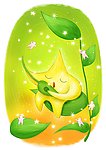 绿叶星星