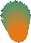 菠萝