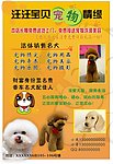 宠物店宣传单