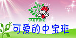 可爱的中宝班